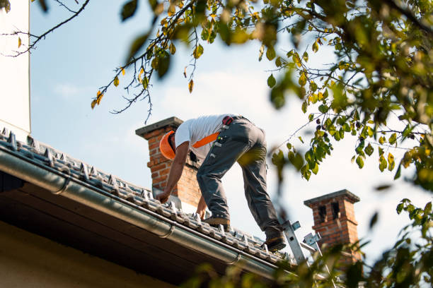 Best Commercial Roof Installation  in Jellico, TN