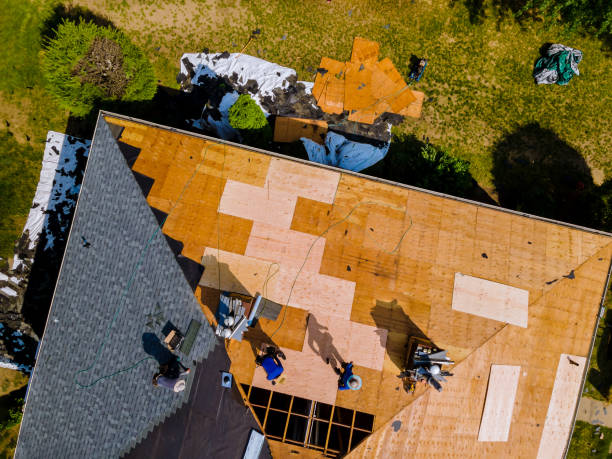 Best Roof Leak Repair  in Jellico, TN