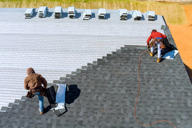 Best Roof Repair Services  in Jellico, TN
